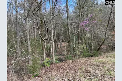 Lot 62 Harbor View Drive #62, Prosperity, SC 29127 - Photo 5