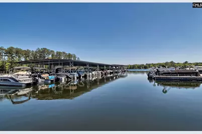 341 Grannys Cut Way, Chapin, SC 29036 - Photo 17