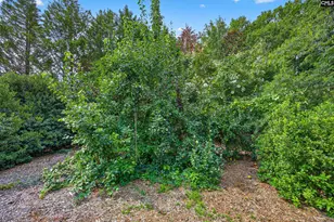 413 Wise Ferry Rd, Lexington, SC 29072 - Photo 49