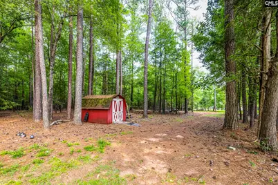 121 Deer Tract Drive, Little Mountain, SC 29075 - Photo 41