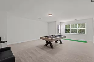 719 Cold Spgs Ln, Irmo, SC 29063 - Photo 53