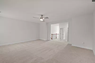 719 Cold Springs Lane, Irmo, SC 29063 - Photo 39