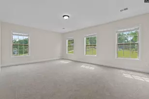 357 Bent Oak Dr, Chapin, SC 29036 - Photo 27