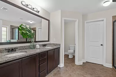 357 Bent Oak Drive, Chapin, SC 29036 - Photo 23