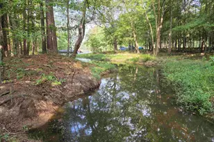 357 Bent Oak Dr, Chapin, SC 29036 - Photo 5