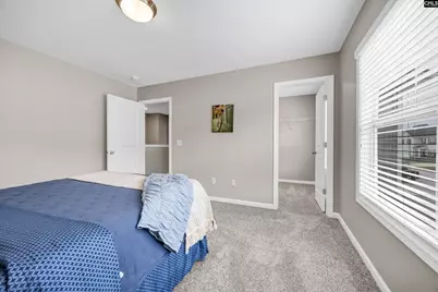 1128 Grey Pine Drive, Blythewood, SC 29016 - Photo 27
