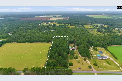 3164 Neely Wingard Road, Leesville, SC 29070 - Photo 5