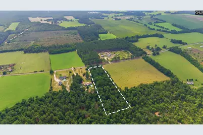 3164 Neely Wingard Road, Leesville, SC 29070 - Photo 9