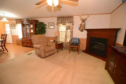 1885 Lake Elliot Road, Cassatt, SC 29032 - Photo 3