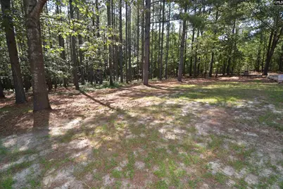 1885 Lake Elliot Road, Cassatt, SC 29032 - Photo 23