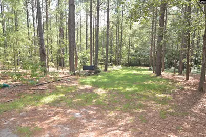 1885 Lake Elliot Road, Cassatt, SC 29032 - Photo 21