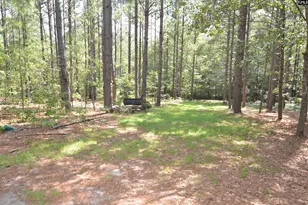 1885 Lake Elliott Rd, Cassatt, SC 29032 - Photo 21