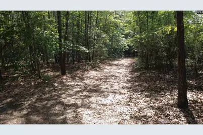 1885 Lake Elliot Road, Cassatt, SC 29032 - Photo 29