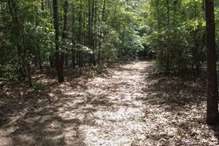 1885 Lake Elliott Rd, Cassatt, SC 29032 - Photo 29