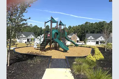 2813 Pepperell Road, Chapin, SC 29036 - Photo 29
