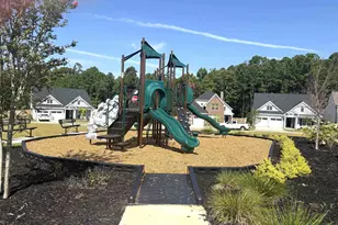 2813 Pepperell Rd, Chapin, SC 29036 - Photo 29