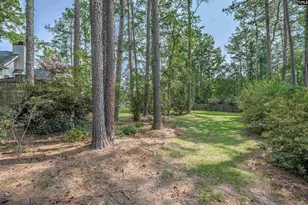 108 Amelia Ct, Lexington, SC 29072 - Photo 37