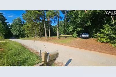 142 Crystal Creek Cr, Chapin, SC 29036 - Photo 7