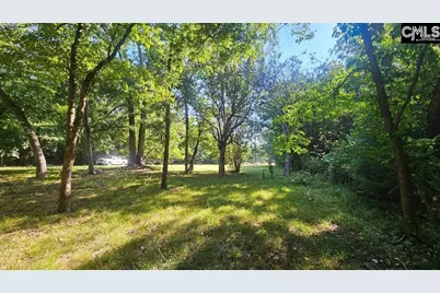 142 Crystal Creek Cr, Chapin, SC 29036 - Photo 1