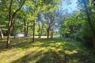 142 Crystal Creek Creek, Chapin, SC 29036 - Photo 1