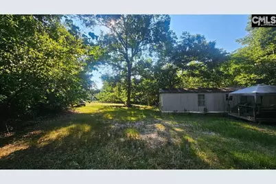 142 Crystal Creek Cr, Chapin, SC 29036 - Photo 3