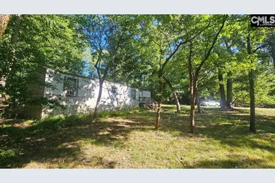 142 Crystal Creek Cr, Chapin, SC 29036 - Photo 5