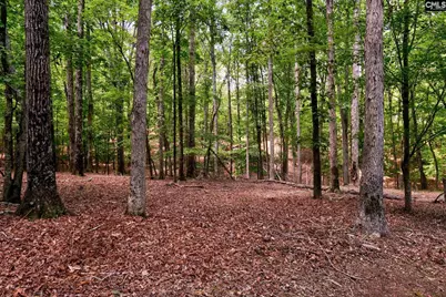 114 Garris McCabe, Blythewood, SC 29016 - Photo 35