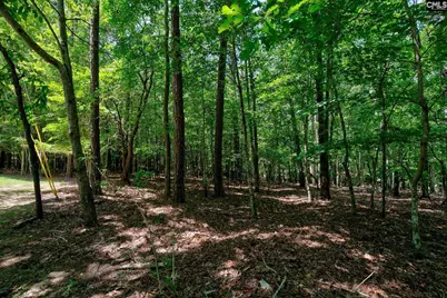 114 Garris McCabe, Blythewood, SC 29016 - Photo 39