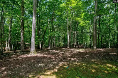 114 Garris McCabe, Blythewood, SC 29016 - Photo 37