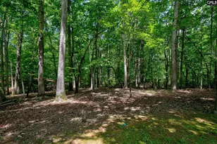 114 Garris McCabe, Blythewood, SC 29016 - Photo 37