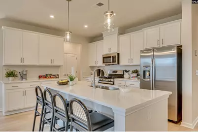 711 Top Line Street, Chapin, SC 29036 - Photo 3