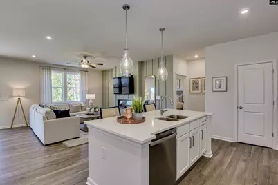 711 Top Line Street, Chapin, SC 29036 - Photo 7