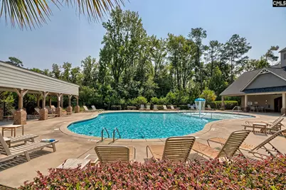117 Village View Way, Lexington, SC 29072 - Photo 3
