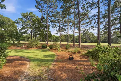 66 Mallet Hill Court, Columbia, SC 29223 - Photo 39