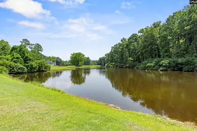 225 Sheringham Road, Columbia, SC 29212 - Photo 45