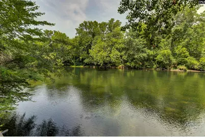 1238 Tributary Road, Lexington, SC 29072 - Photo 39