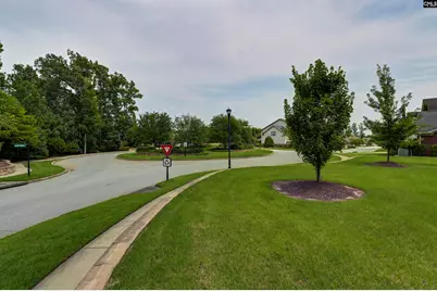 1238 Tributary Road, Lexington, SC 29072 - Photo 35