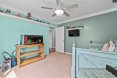 163 Cordage Drive, Chapin, SC 29036 - Photo 17