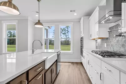 649 Falling Leaf Lane, Chapin, SC 29036 - Photo 7
