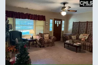409 Travis Avenue, Saluda, SC 29138 - Photo 11