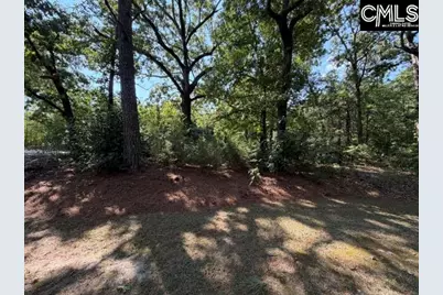 409 Travis Avenue, Saluda, SC 29138 - Photo 39