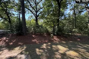 409 Travis Ave, Saluda, SC 29138 - Photo 39