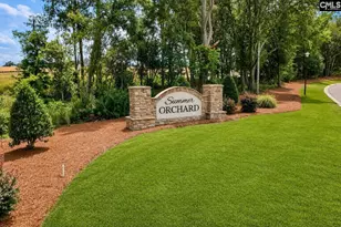 306 Summer Orch Dr, Lexington, SC 29072 - Photo 43