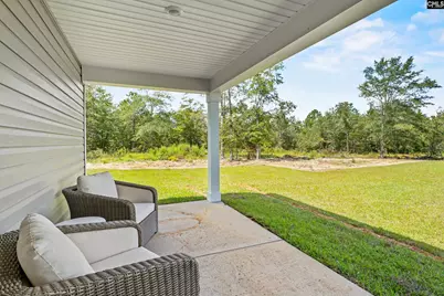 168 Calm Citadel Drive, Pelion, SC 29123 - Photo 3