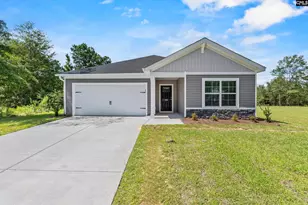 168 Calm Citadel Dr, Pelion, SC 29123 - Photo 1