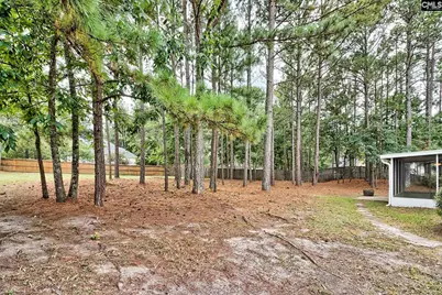 301 Knotts Circle, Lexington, SC 29073 - Photo 39