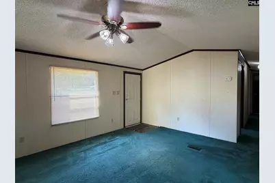 536 Bowman Avenue, Elgin, SC 29045 - Photo 21