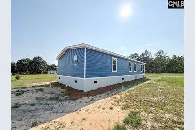 1369 Track Road, Pelion, SC 29123 - Photo 37