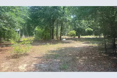 00 Poinsettia Road, Wagener, SC 29164 - Photo 5
