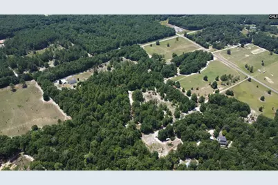 00 Poinsettia Road, Wagener, SC 29164 - Photo 9